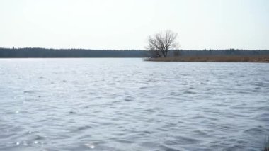 Dalgalı göl manzarası ve ağaçlı ada.
