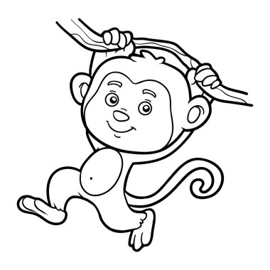marmoset monkey premium vector download for commercial use. format: eps