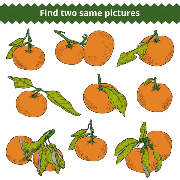 Encuentra dos fotos iguales. Vector de color conjunto de mandarinas — Vector de stock