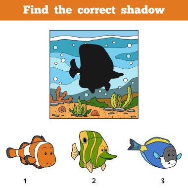 Find the correct shadow. Find fish by shadow