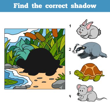 Find the correct shadow. Find animal by shadow