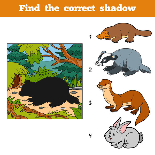 Find the correct shadow. Find animal by shadow