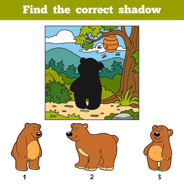 Найдите правильную тень. Найти животное по тени
