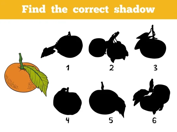 Encuentra la sombra correcta. Conjunto de colores vectoriales de frutas naranjas — Archivo Imágenes Vectoriales