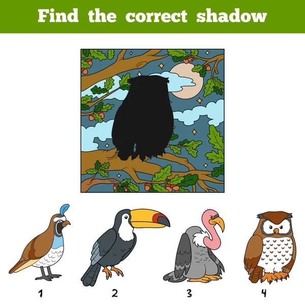Βρείτε τη σωστή σκιά. Βρείτε το πουλί από τη σκιά — Διανυσματικό Αρχείο
