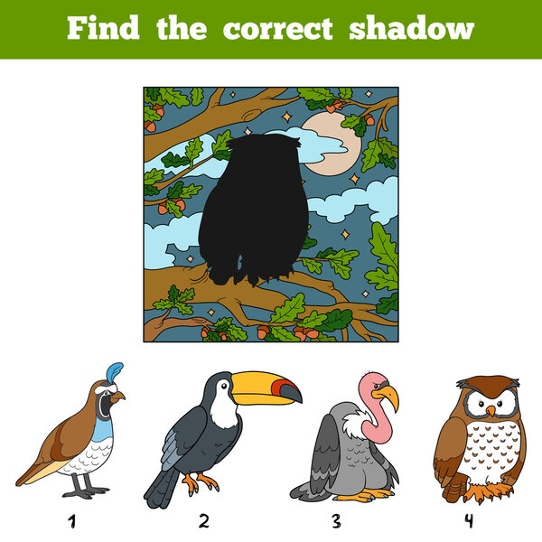 Find the correct shadow. Find bird by shadow