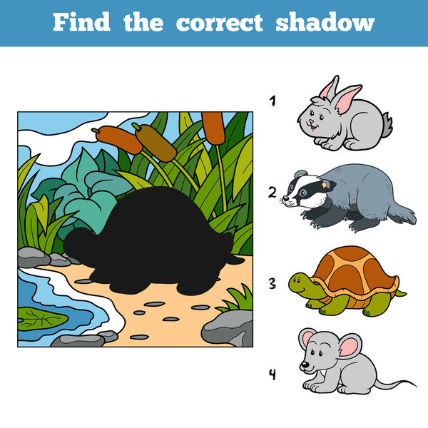 Find the correct shadow. Find animal by shadow