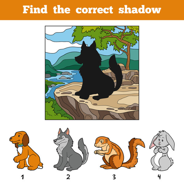 Find the correct shadow. Find animal by shadow