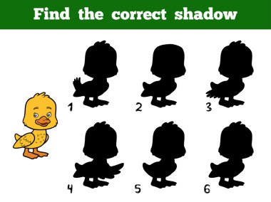 Doğru gölge bulmak. Küçük ördek