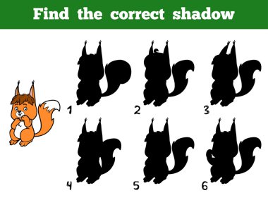 Doğru gölge bulmak. Küçük sincap