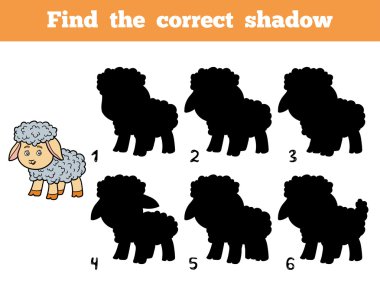 Doğru gölge bulmak. Küçük koyun