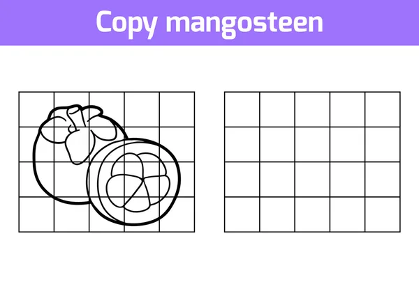 Copiez la photo. Fruits et légumes, mangoustan — Image vectorielle