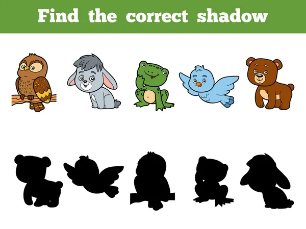 Find the correct shadow for children. Animal collection — Stock Vector