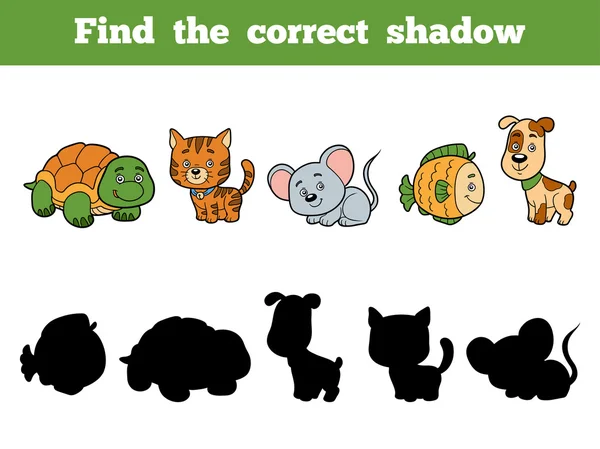 Trouvez la bonne ombre pour les enfants. Collecte animale — Image vectorielle