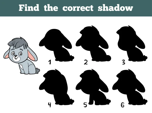 Find the correct shadow. Little rabbit — Stock Vector