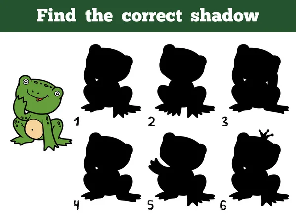 Najdete správný stín. Malá žába — Stockový vektor