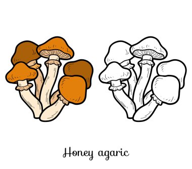 Boyama kitabı. Yenilebilir mantar, bal agaric