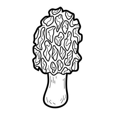 Boyama kitabı. Yenilebilir mantar, morel