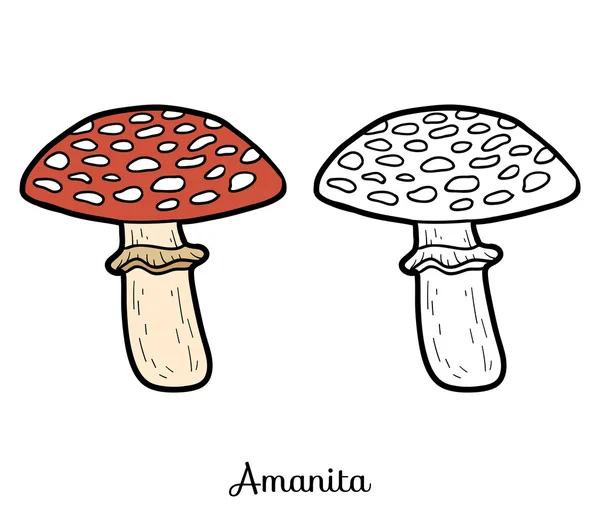 Omalovánky. Nejedlé houby, Amanita — Stockový vektor