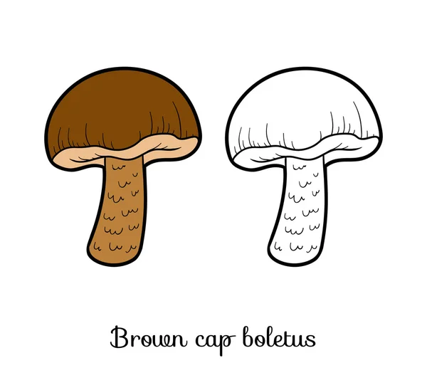 Раскраска. Съедобные грибы, коричневый колпак — стоковый вектор