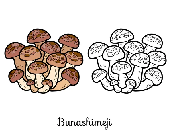 Livre à colorier. Champignons comestibles japonais, bunashimeji — Image vectorielle