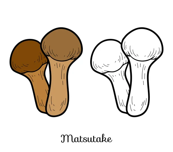 Розмальовка. Їстівні гриби, мацутаке — стоковий вектор