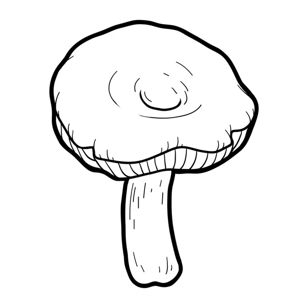 Livro de colorir. Cogumelos comestíveis, russule — Vetor de Stock