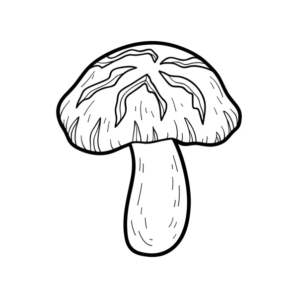 Libro para colorear. Setas comestibles, shiitake — Vector de stock