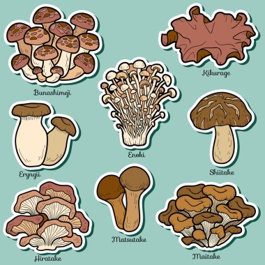 Set of japanese mushrooms clipart