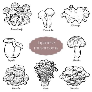 Japon mantar renksiz kümesi