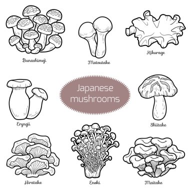 Colorless set of japanese mushrooms clipart