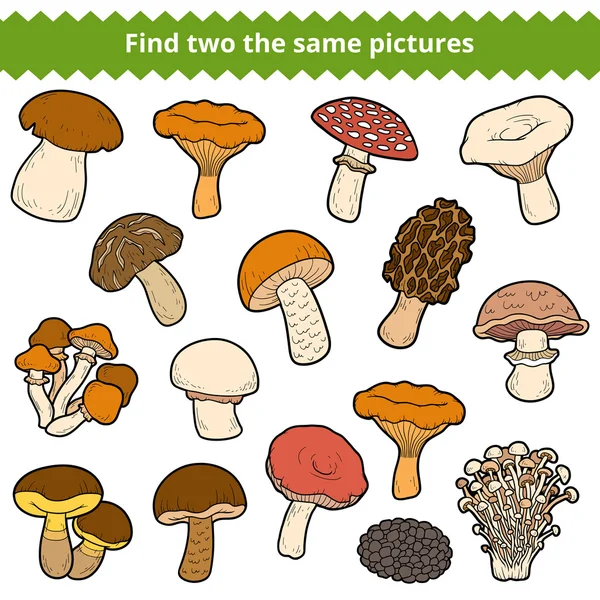 Etsi kaksi samaa kuvaa, joukko sieniä — vektorikuva