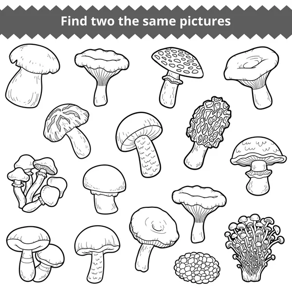 Trouvez deux mêmes photos, ensemble de champignons — Image vectorielle