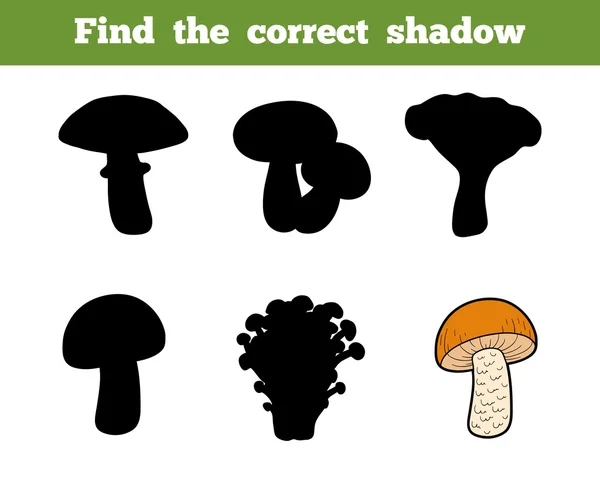 Trouver l'ombre correcte, jeu éducatif sur les champignons — Image vectorielle