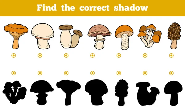 Hitta rätt skugga, utbildning spel om ätliga svampar — Stock vektor