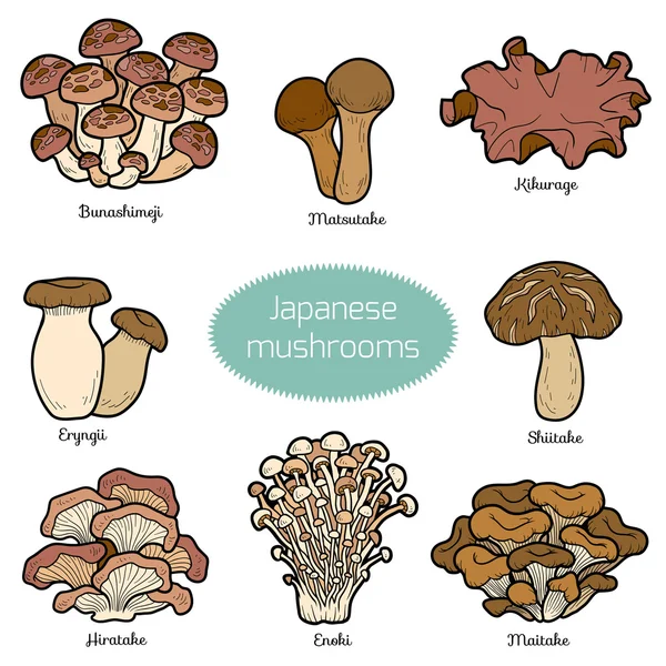 Verzameling van Japanse paddestoelen — Stockvector