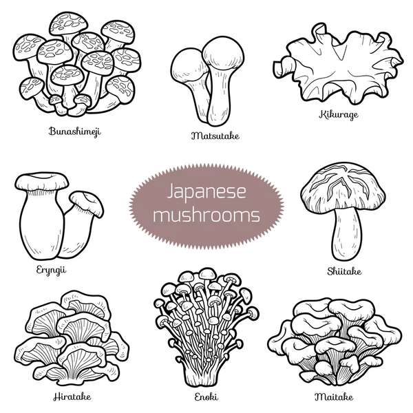 Conjunto incolor de cogumelos japoneses — Vetor de Stock