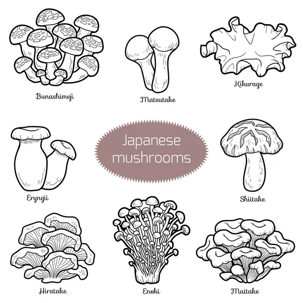 Kleurloze set van Japanse paddestoelen — Stockvector