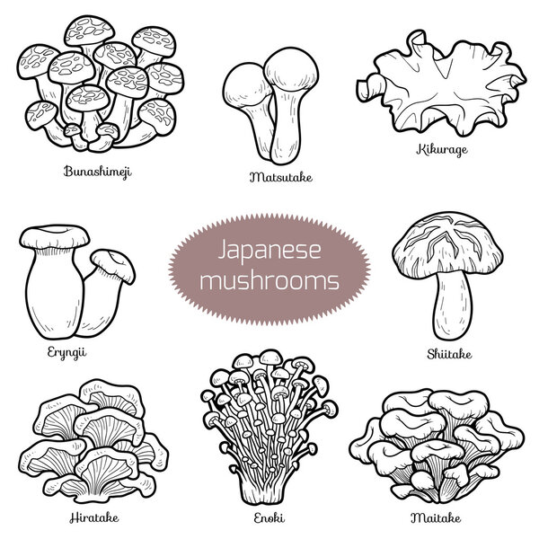 Colorless set of japanese mushrooms