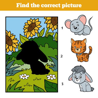 Doğru resmi bulun. Küçük tavşan ve arka plan