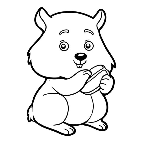 Livro para colorir, hamster — Vetor de Stock