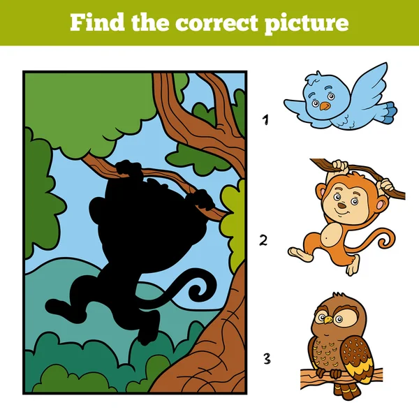 Encontre a imagem correta. Pequeno macaco e fundo —  Vetores de Stock