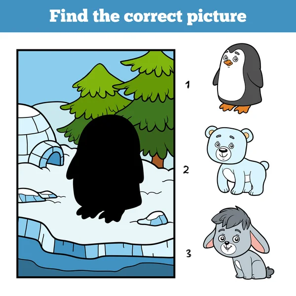 Finden Sie das richtige Bild. Kleiner Pinguin und Hintergrund — Stockvektor