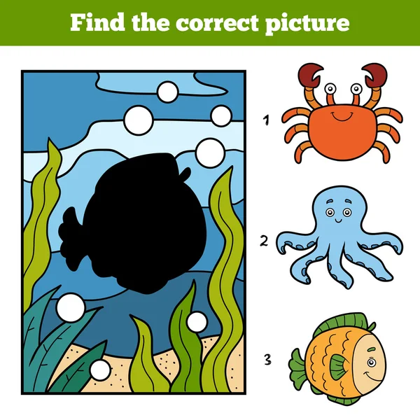 Hitta rätt bild. Lite fisk och bakgrund — Stock vektor