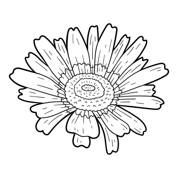 Coloring Book Children Ursinia Flower — Stock Vector