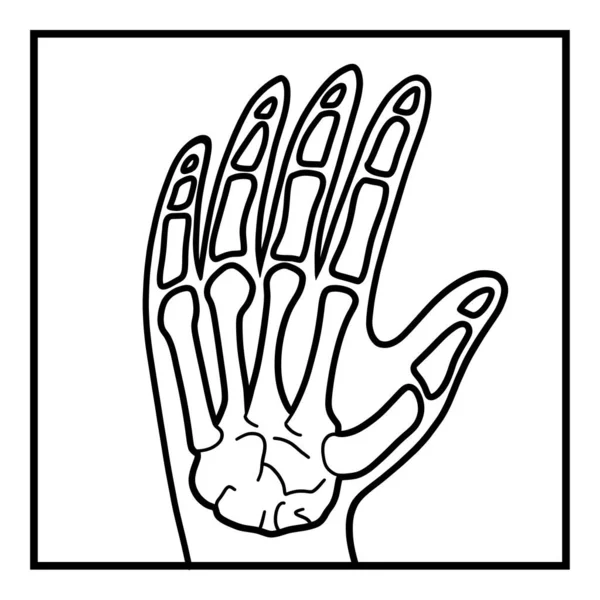 Malbuch Für Kinder Hand Röntgen — Stockvektor