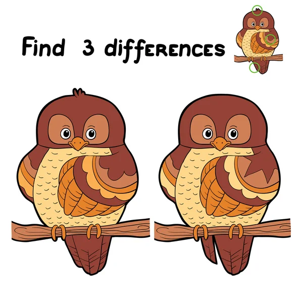 Find 3 differences (bird) — Stock Vector