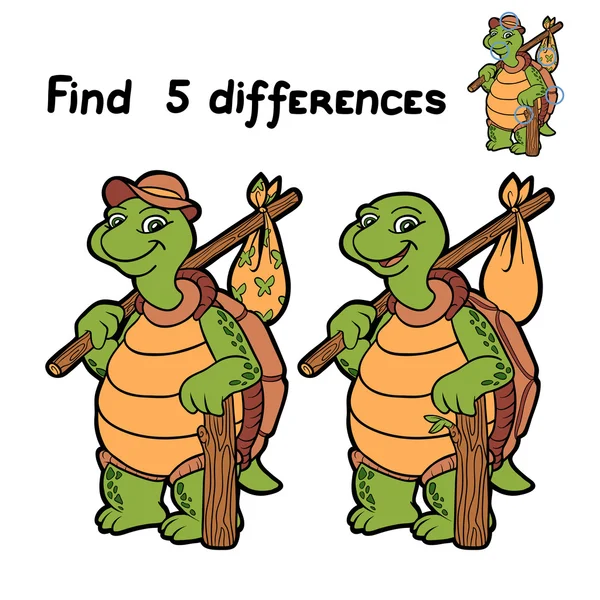 Find 5 differences (turtle) — Stock Vector