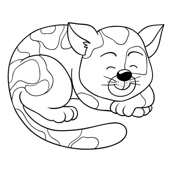 Målarbok (cat) — Stock vektor