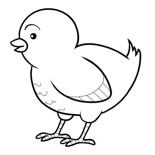 Coloring book (chicken) — Stock Vector